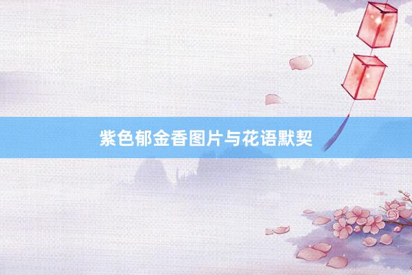 紫色郁金香图片与花语默契